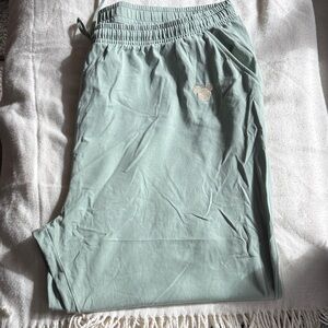Women’s Disney Sage Green Jogger Pants.  Size 2X.  New never worn.